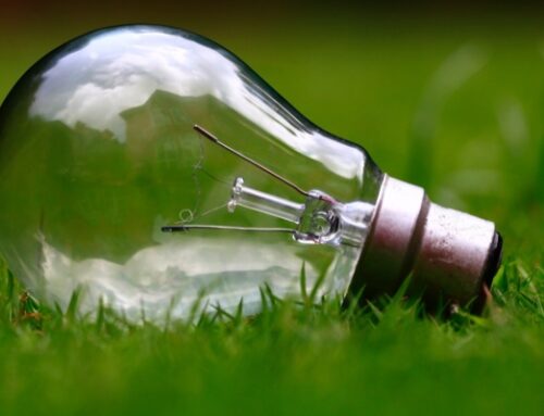 Guest Post: You Know Your IQ,  But What’s Your CQ®?