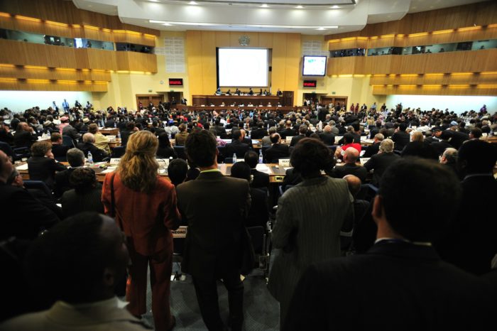 PMO IMPACT Summit 1 YEAR VIP Experience