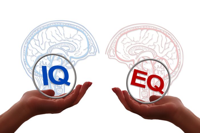 The Power of Emotional Intelligence to Boost Productivity