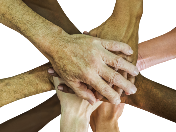 Fierce Loyalty: The Leadership Protocol