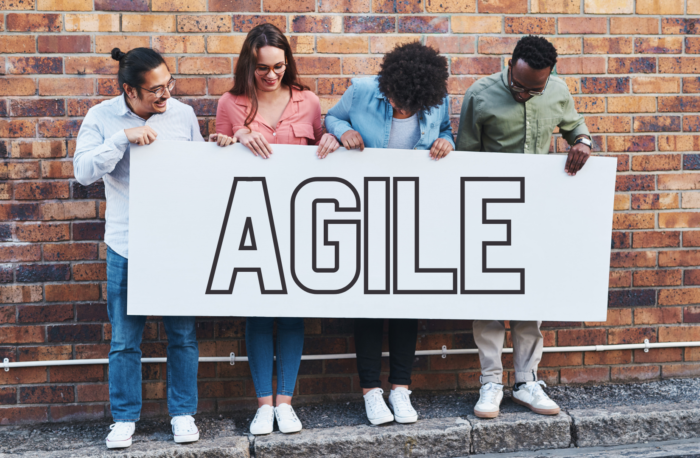 Agile for Everyone