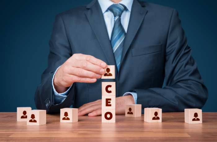CEO Advisor – PMO and Strategic Alignment