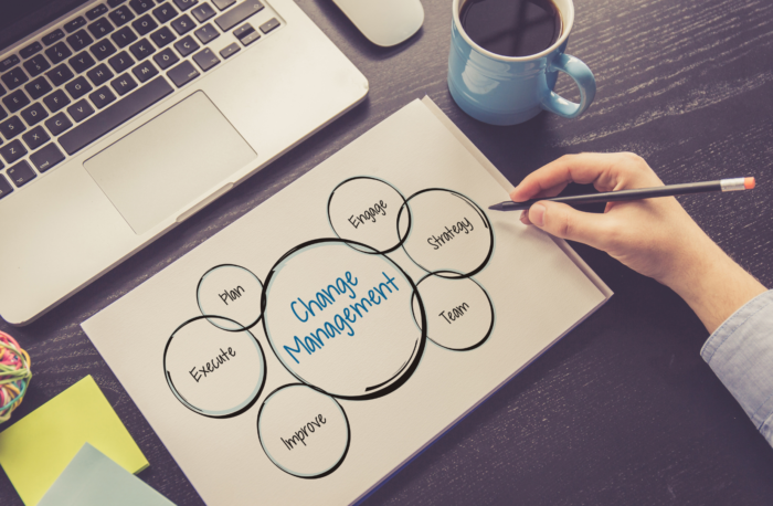 The PMO as the Change Manager in Agile Transformations
