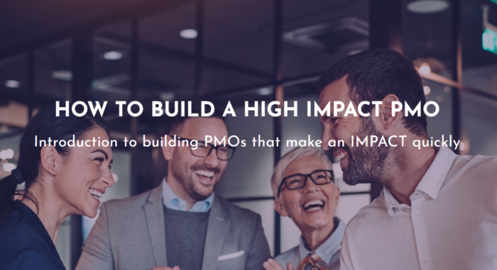 Raffle Prize Choice [Laura's Build a High-IMPACT PMO Course]